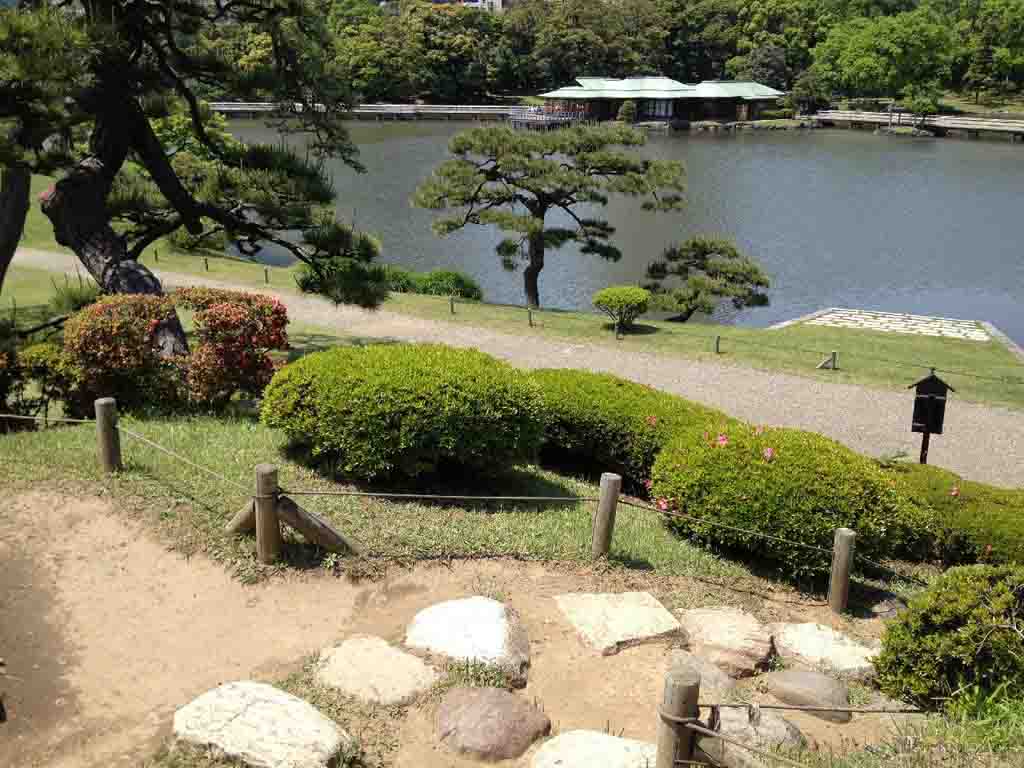 tea ceremony tokyo park