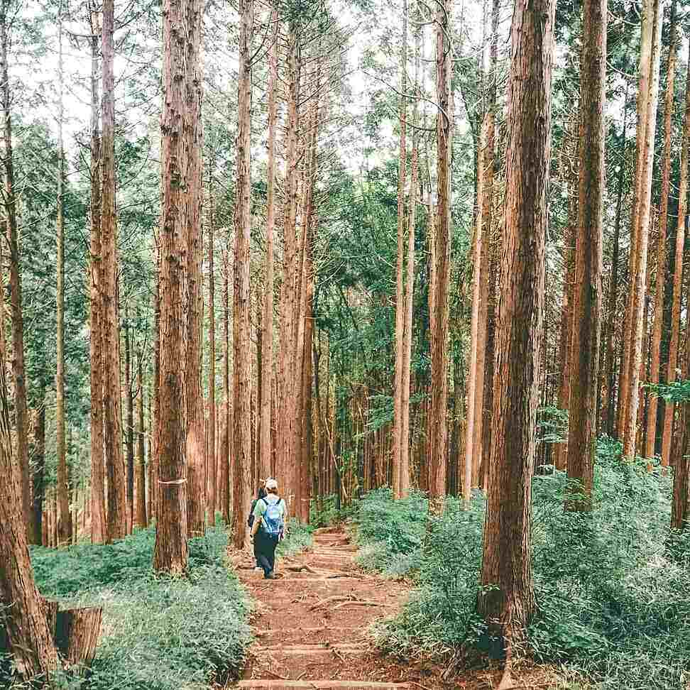 Ultimate Guide to Hiking in Tokyo | BFF Tokyo