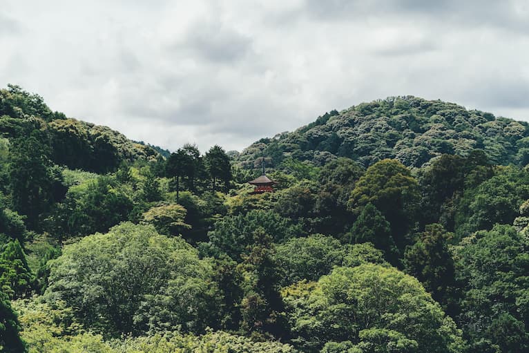 japanese green forest with a Wayo Kenchiku house on a hill